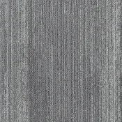 CMP6