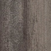 CMP67
