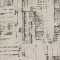 CNV254-209 desert Bisque