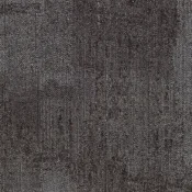 DST13-119