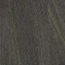FCA166-79 Anthracite Forest