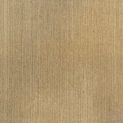 FFR259-21