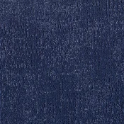 FSY123