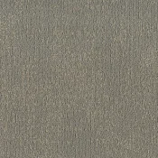 FSY165