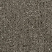 FSY254
