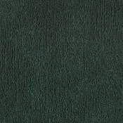 FSY274