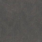 FSY79