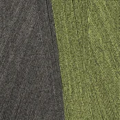 FTR79_88-141 Forest Anthracite