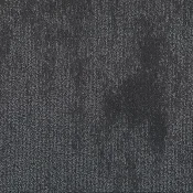 GLN119