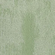 GLN240