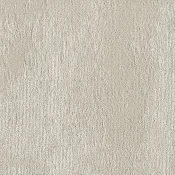 GLN251