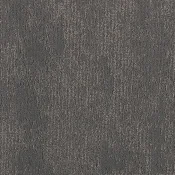 GLN79