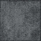 LDB06-118-13