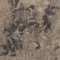 LFS254-251_235-19