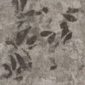 LFS6-180_79-120