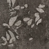 LFS79-120_6-180