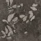 LFS79-120_6-180