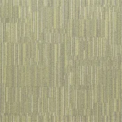 LLN103-165 Citron