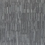 LLN153-13 Gosling