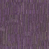 LLN164-38