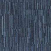 LLN19
