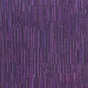 LLN66