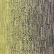 LLT103_173-06 Lemongrass Sweater