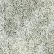 PGN139-171-217