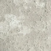PGN236-218-217