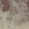 PGN254-60-48