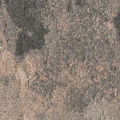 PGN261-260-236