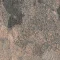 PGN261-260-236