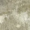 PGN44-21-219