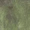PGN74-62