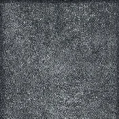 PLLDB06-118-13