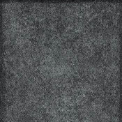 PLLDB06-27-13