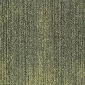 PUA163-173-103