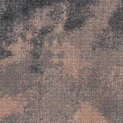 RPG261-260-236