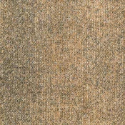 SEA153-216