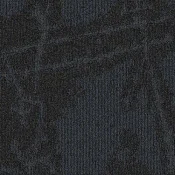 SHK118-119
