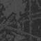 SHK13-119