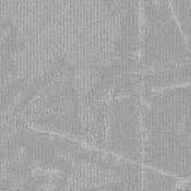 SHK144-6