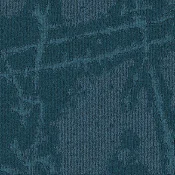 SHK16-229