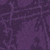 SHK181-66