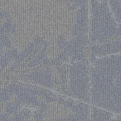 SHK6-138