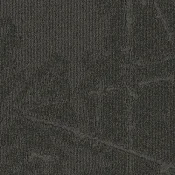 SHK67-120