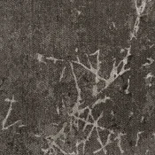 TSC79-120_6-180m