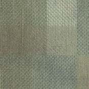 WOV259-83-37