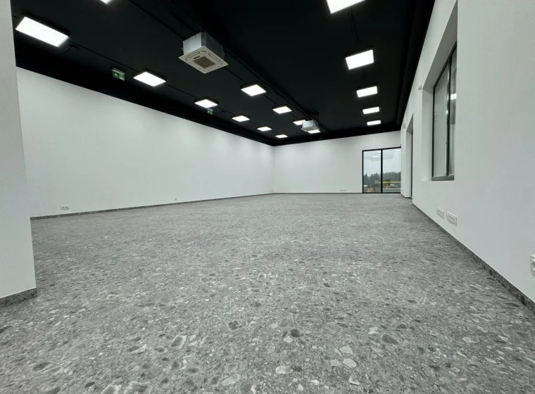 Panele LVT Moduleo