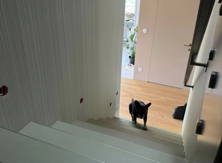 Schody w domu jednorodzinnym wykończone linoleum Forbo